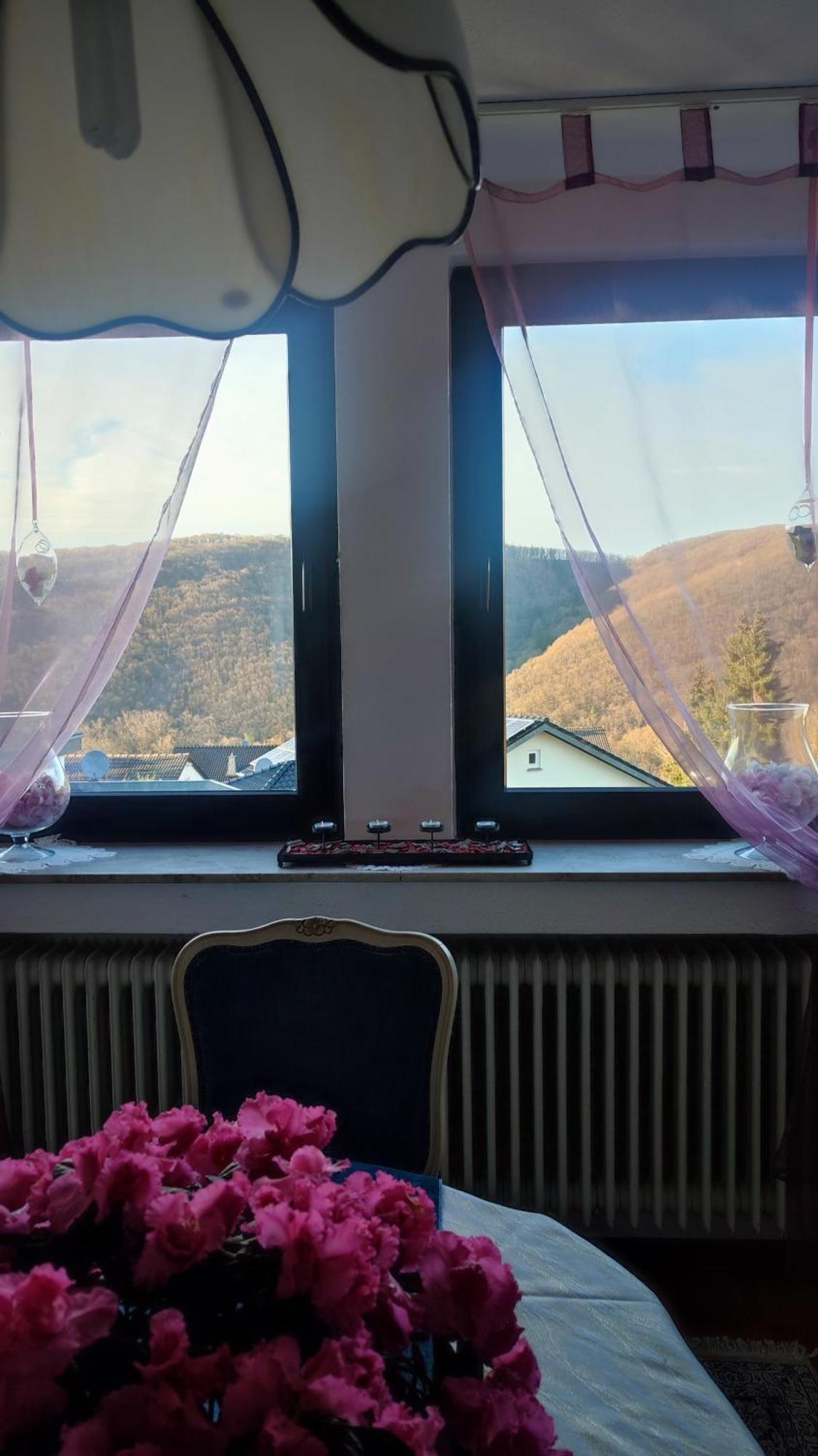 Apartmán Kermeterblick Schleiden Exteriér fotografie